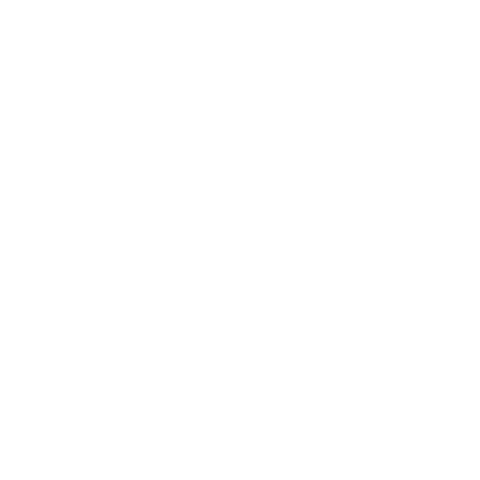 free-icon-data-scientist-6360988 (1)